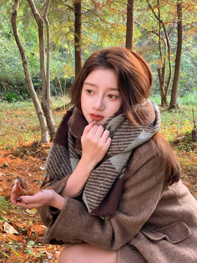 如懿传 封面